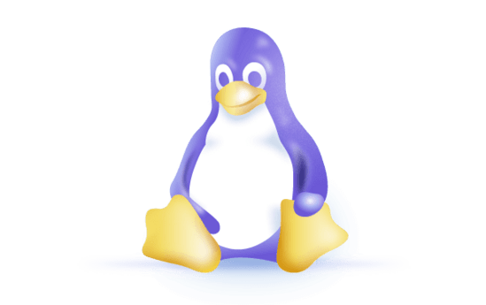 خرید هاست لینوکس